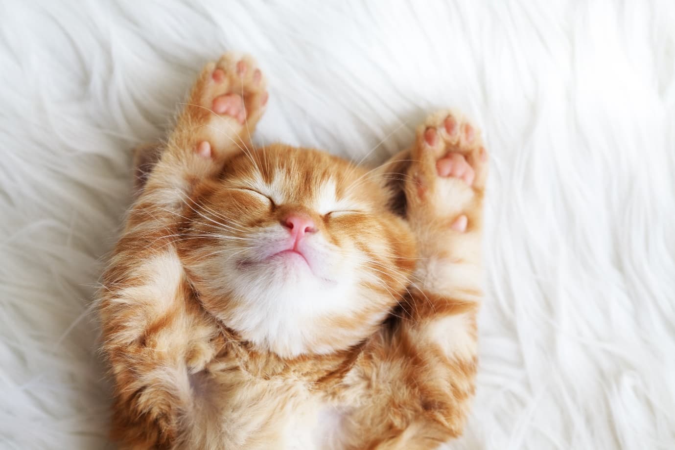 Sleep